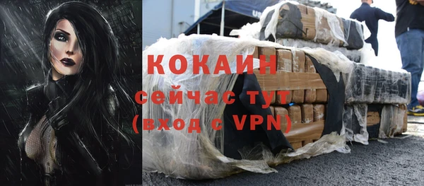 дмт Костерёво