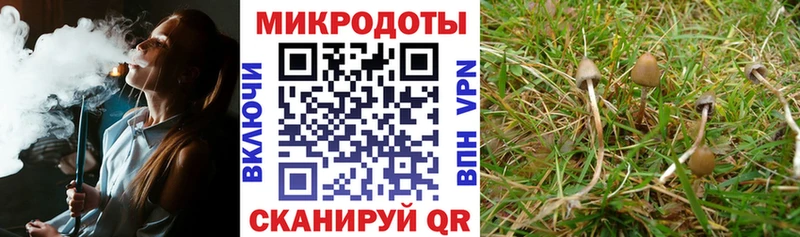 Галлюциногенные грибы прущие грибы Йошкар-Ола