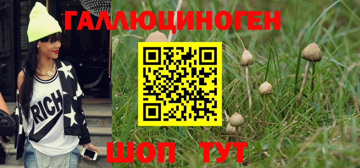 Галлюциногенные грибы прущие грибы  Вход с VPN  Йошкар-Ола 