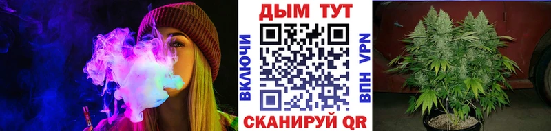 как найти   Йошкар-Ола  Марихуана марихуана 